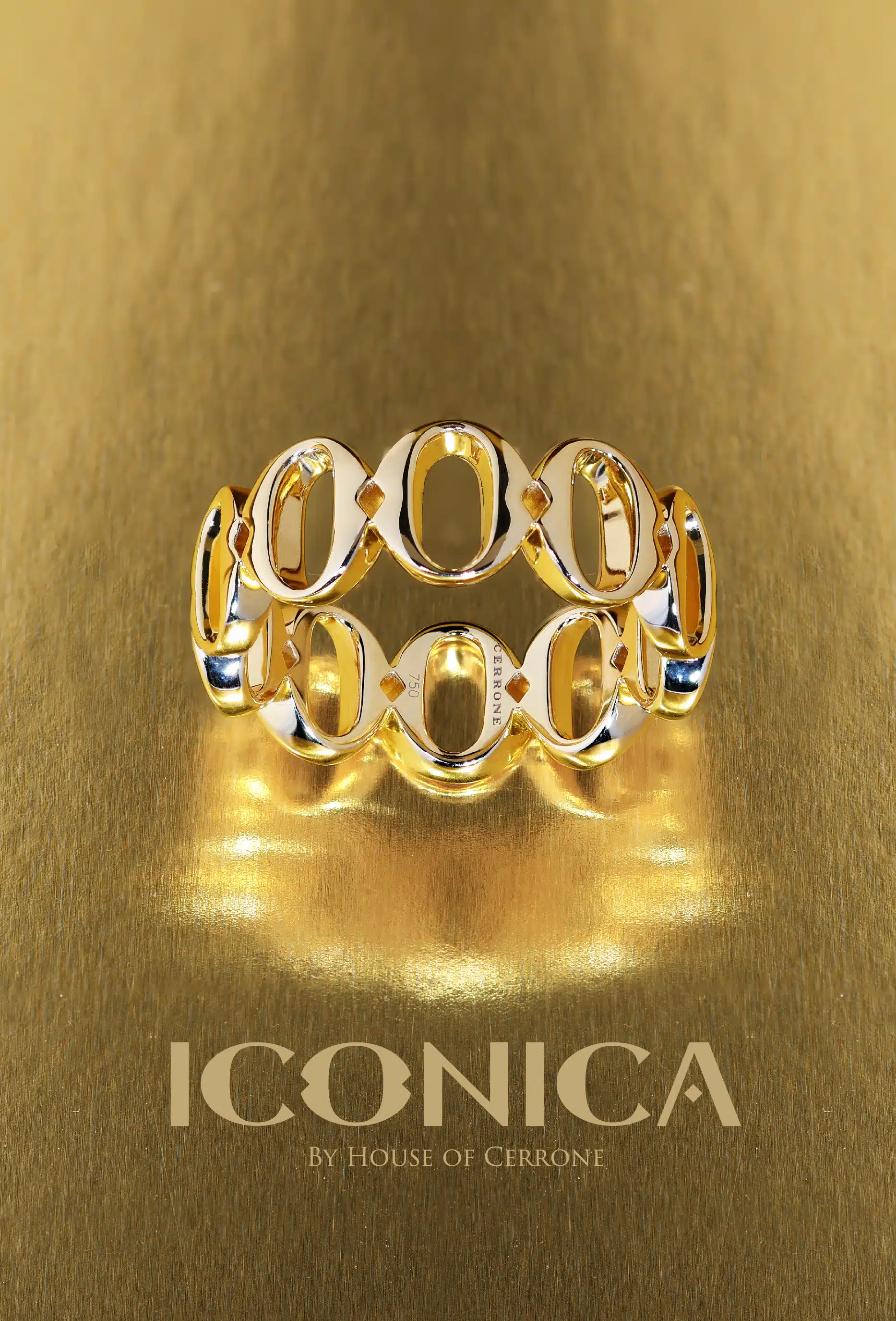 ICONICA SOFT Launch- Website (Home Banner)-01